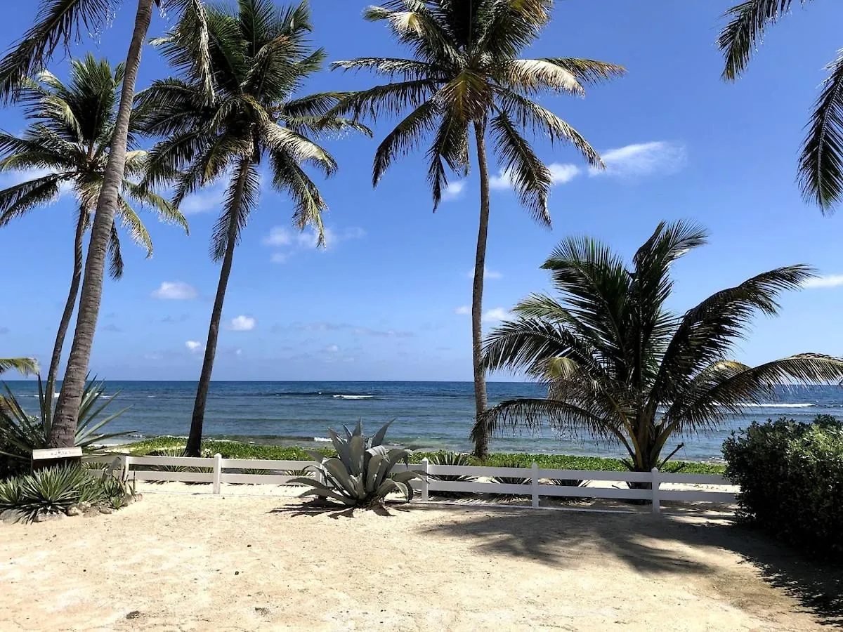 Villa La Playa Saint Francois Sur La Plage 0*, Saint-Francois (Grande-Terre)